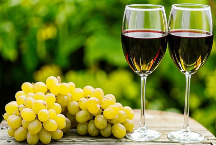 АВТОРСКИЙ ВИННЫЙ ТУР БОРДО