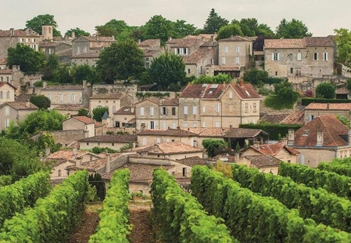 ВИНОДЕЛЬЧЕСКИЙ ТУР ПО БОРДО И ФЕСТИВАЛЬ ТРЮФЕЛЕЙ