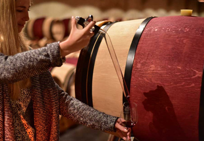 ВИННЫЙ ТУР В МЕДОК